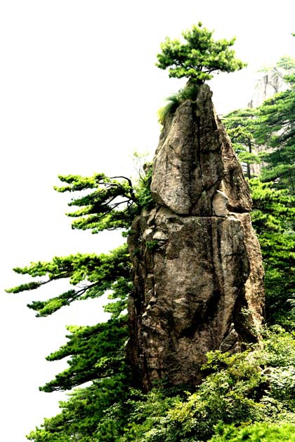 中国出版集团公司 刘伯根——黄山印象