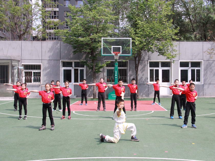 作为“我的中国梦”全国中小学生读书教育活动首批试点示范学校，青龙桥小学将“中国梦”主题读书教育活动纳入学校教学计划和校园文化建设，围绕主题班会、阅读书角、读书笔记、才艺展示、梦想设计和“圆梦之旅”网络竞赛等互动教学模式，把“中国梦”元素渗透到学生的课程学习和课外活动中，把实现“中国梦”与学生成长成才实践更紧密地结合在一起。图为武术表演。