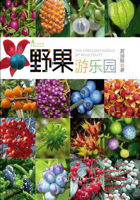 13.野果游乐园