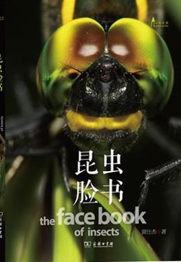 昆虫脸书