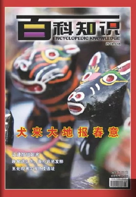640.webp (2)