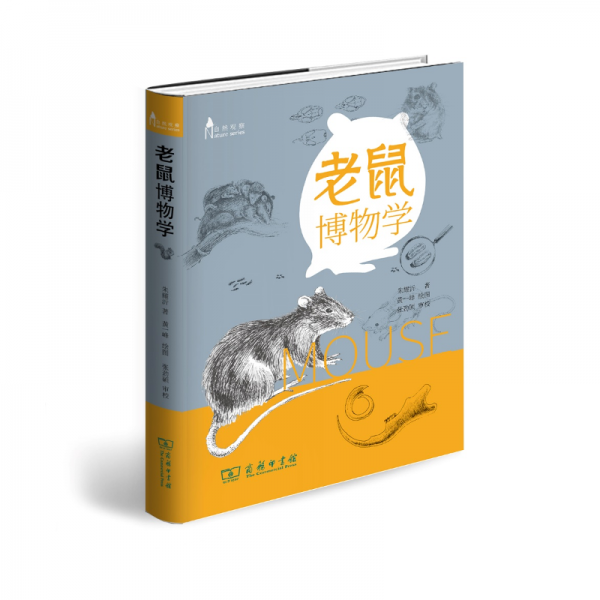 微信图片_20200408141204