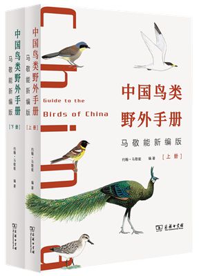 3中国鸟类野外手册(马敬能新编版)全2册_副本_副本