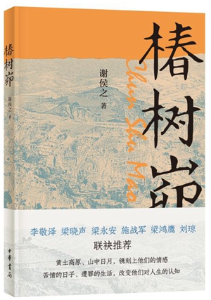20230308文化学者评谢侯之作品：描绘出一个真实的椿树峁