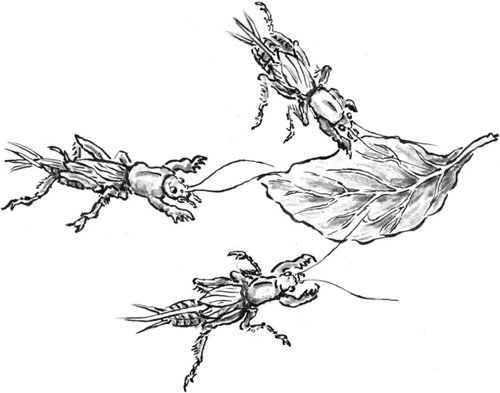 4
