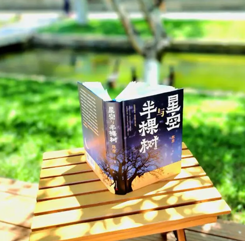 《星空与半棵树》1