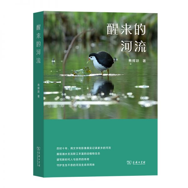 《醒来的河流》