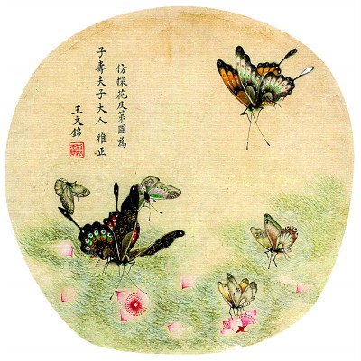 探花及第图