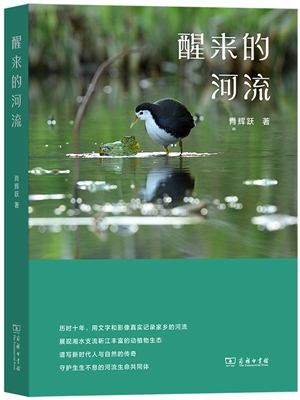 《醒来的河流》