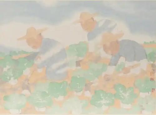 高丹6