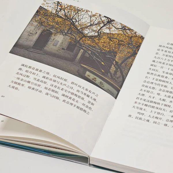 天边物语3-6