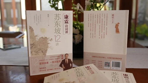 康震诗词课3