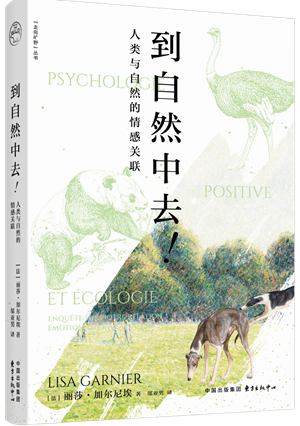 走向旷野2_300