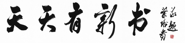 天天有新书2