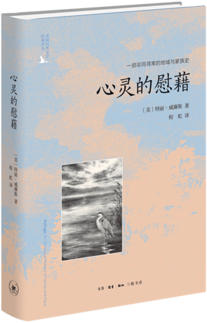 心灵的慰藉_300